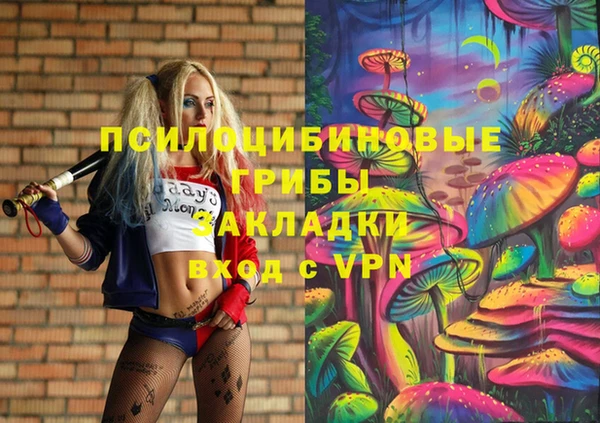 бошки Бородино