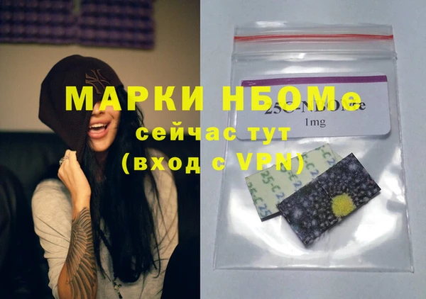 бошки Бородино