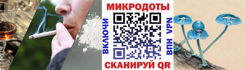 Псилоцибиновые грибы Psilocybine cubensis  Купить  Оха 
